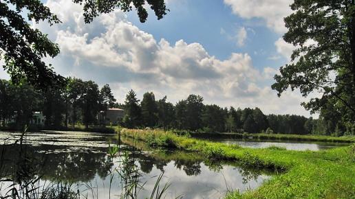 Żarki (Poraj, Żarki - letnisko, przybynów, leśniów, poczesna), Magdalena