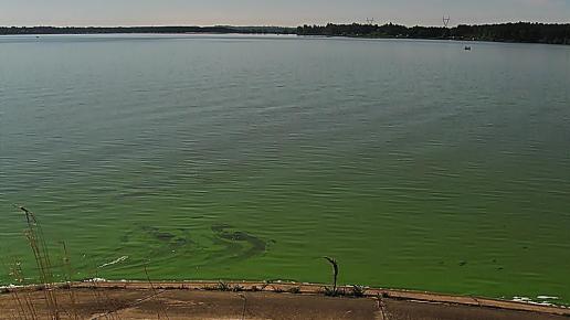 porajski zalew poranną porą , Magdalena