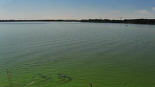 Żarki (Poraj, Żarki - letnisko, przybynów, leśniów, poczesna), Magdalena