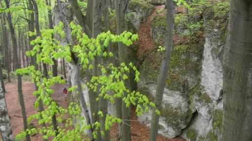 zamek ostrężnik, Magdalena