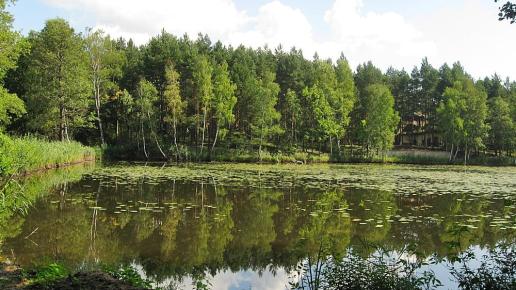 stawy za masłońskim, Magdalena