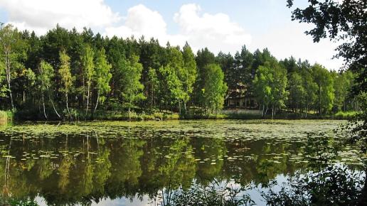 Żarki (Poraj, Żarki - letnisko, przybynów, leśniów, poczesna), Magdalena