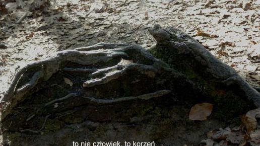 , Sylwester Jędrzejczak