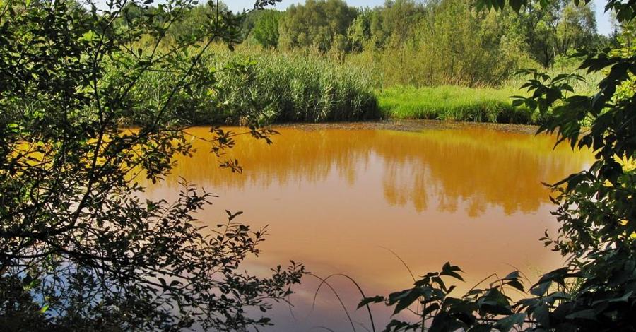 leniwy spacer Doliną Warty (Częstochowa) - zdjęcie
