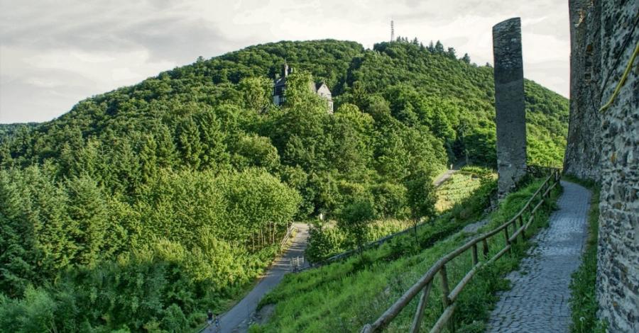 "Wina, wina dajcie!...- Bernkastel Kues - zdjęcie