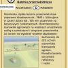 , Zbyszek Mat