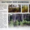 , Zbyszek Mat