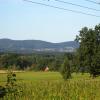 Paczków z Błotnicy, Sylwester Jędrzejczak
