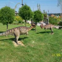 DINOLANDIA, mirosław