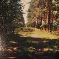 , Magdalena