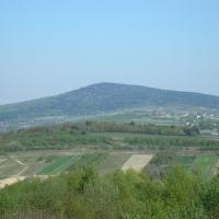 G. Wymyślona, Sylwester Jędrzejczak