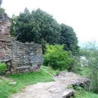 Nowy Sącz, mokunka