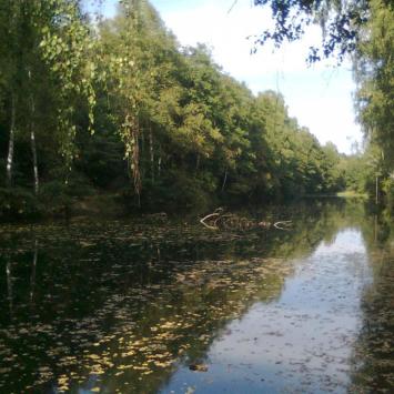 , mokunka