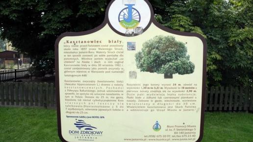 , Zbyszek Mat