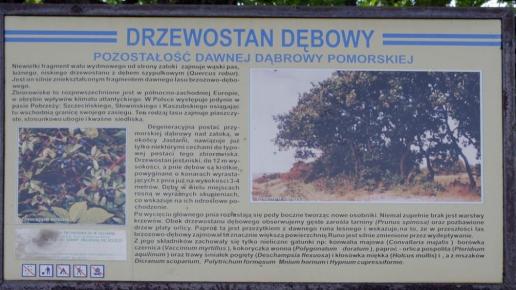 , Zbyszek Mat