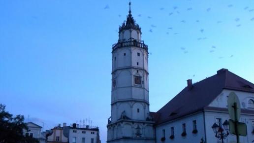 i pół godziny później, Sylwester Jędrzejczak