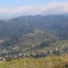 , Adam Prończuk