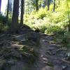 , Krzysztof Dorota