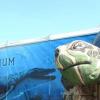 Oceanarium Ochaby, mokunka