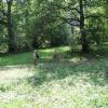 Krzeszowice - park, Roman Świątkowski