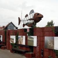 Hel - fokarium, Zbyszek Mat