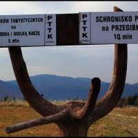 Rycerki i Rycerzowe., Adam Prończuk