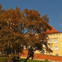 , Magdalena