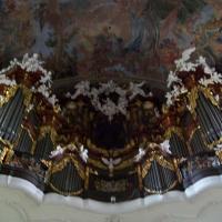, Krzysztof Dorota