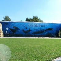 Dream Park Ochaby, mokunka