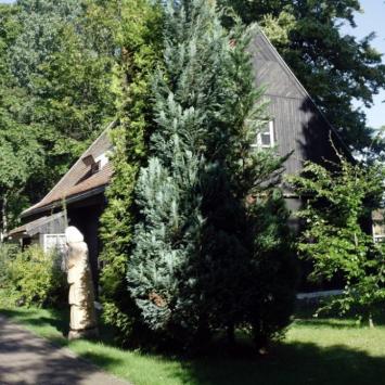 Władysławowo – Wielgô Wies -