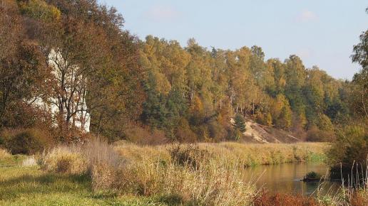 Brzegiem Warty, Tadeusz Walkowicz