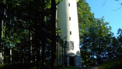 wieża widokowa, Sylwester Jędrzejczak