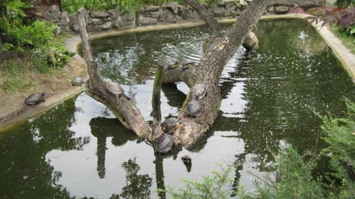 Egzotarium (Park Kresowy), Roman Świątkowski