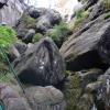 , Mariusz Wiśniewski