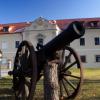 Zamek w Starych Tarnowicach