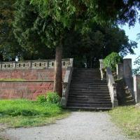 , Krzysztof Dorota