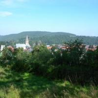 Wleń ze Wzgórza Zamkowego, Sylwester Jędrzejczak