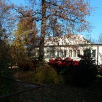 , mokunka