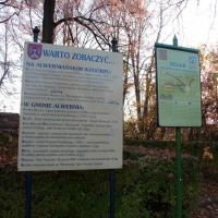 , mokunka