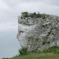 , Roman Świątkowski