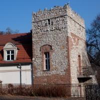 Pałac w Kamieńcu