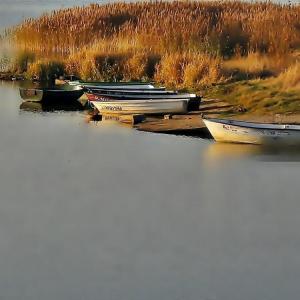 Poraj