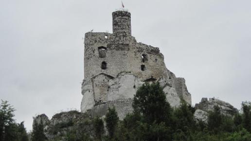 , Roman Świątkowski