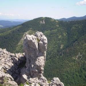 Biały Dunajec