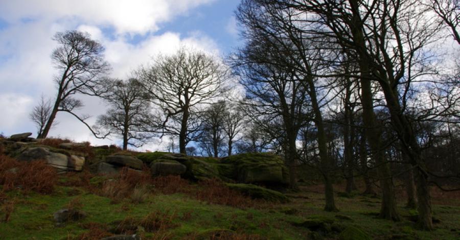 krótki spacer po Peak District - zdjęcie