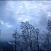 , Adam Prończuk