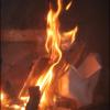 , Adam Prończuk