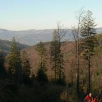 Węgierska Górka, Katarzyna Jamrozik