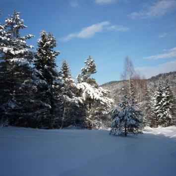 Zimowy Beskid Niski - zdjęcie