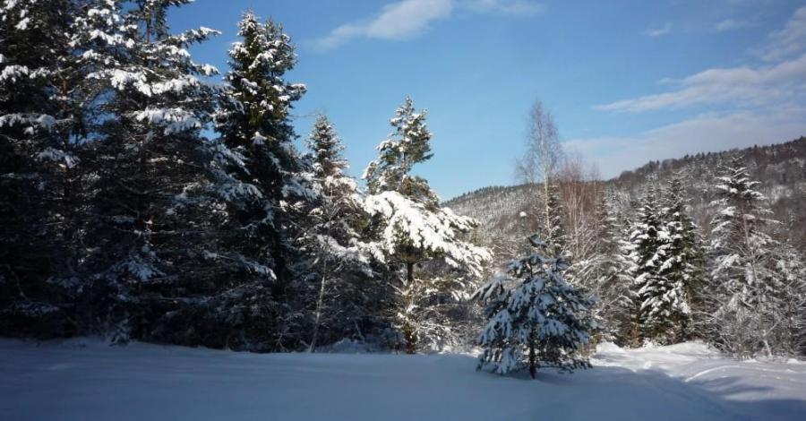 Zimowy Beskid Niski - zdjęcie